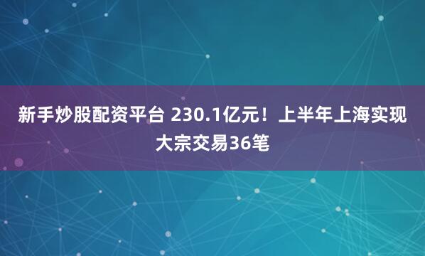 新手炒股配资平台 230.1亿元！上半年上海实现大宗交易36笔