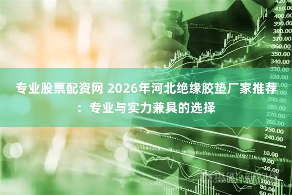 专业股票配资网 2026年河北绝缘胶垫厂家推荐：专业与实力兼具的选择